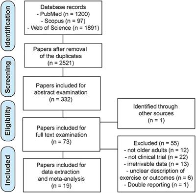 The Effect of Eccentric vs. Traditional Resistance Exercise on Muscle Strength, Body Composition, and Functional Performance in Older Adults: A Systematic Review With Meta-Analysis